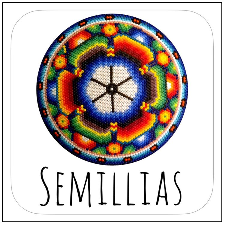 cover art for Semillas: Rowan reads, "Como empecé a arbitrar”