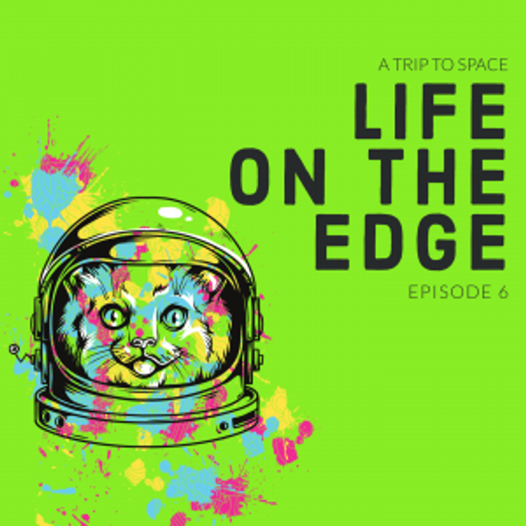 cover art for Episode 6: A trip to the edge