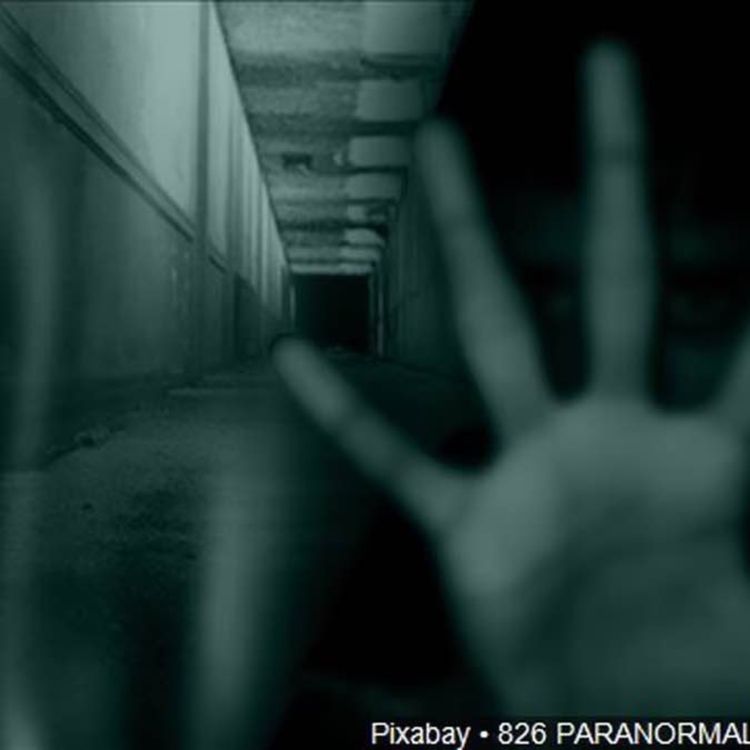 cover art for Episode 43 - Frank Part 2