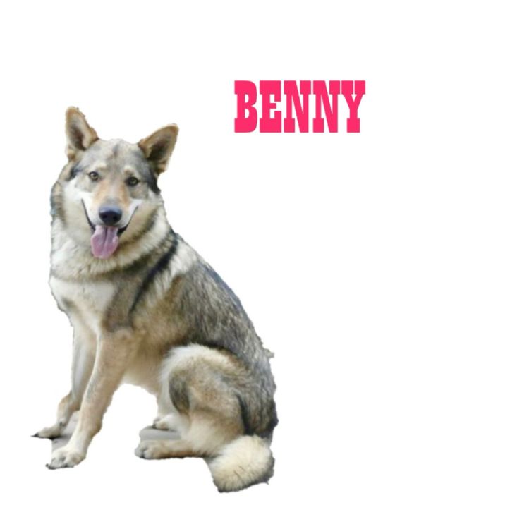 cover art for 'Hiya Love'