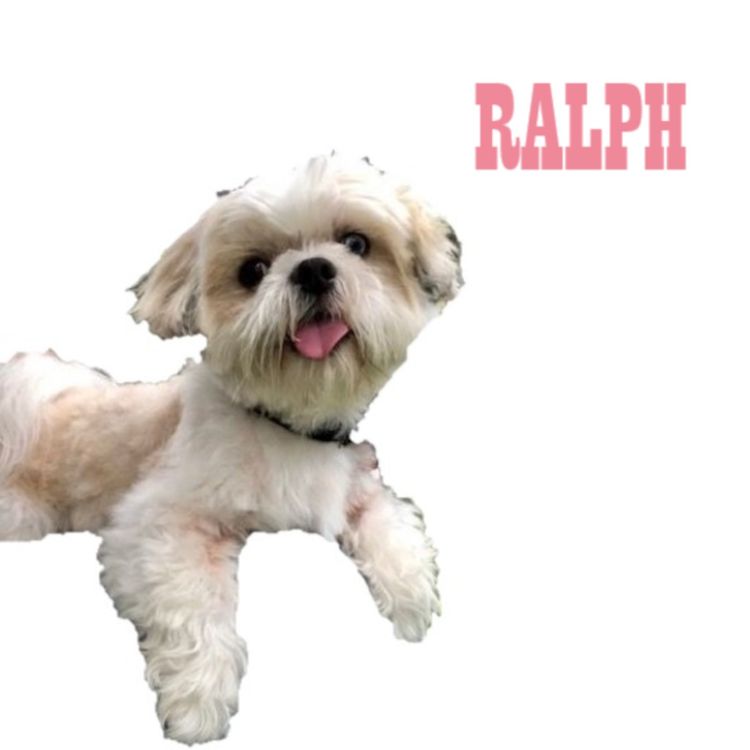 cover art for 'Hides in the Bathroom'