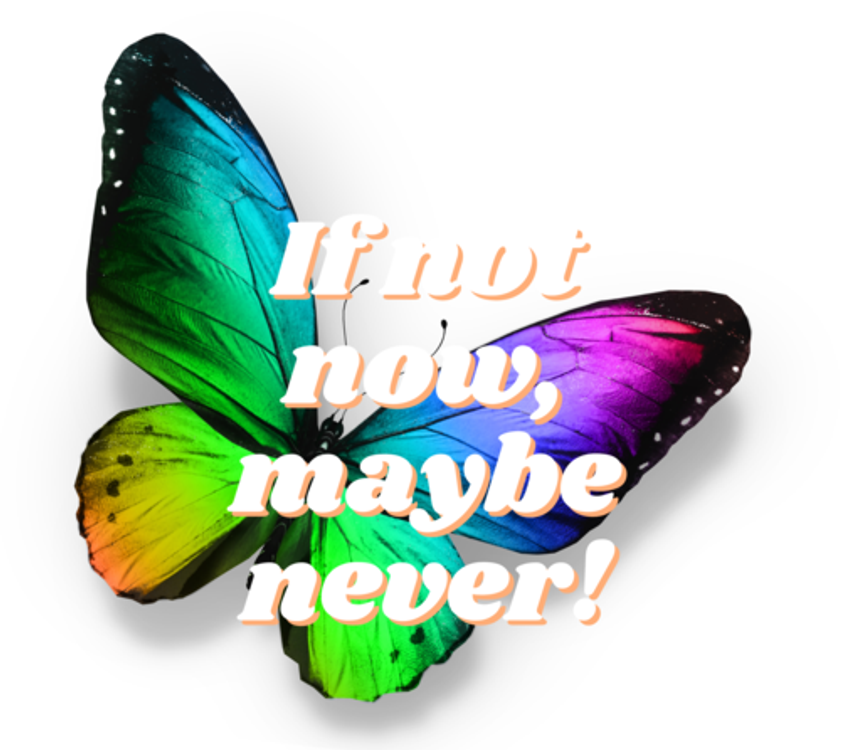 cover art for Create The Life You Want