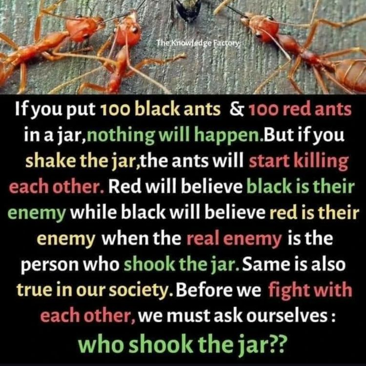 cover art for Are we acting like Ants In A Jar? 