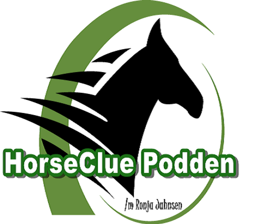 cover art for Vintermotivasjon