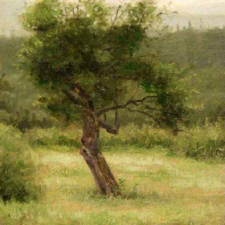 cover art for The evolution of consciousness, the individual and the community