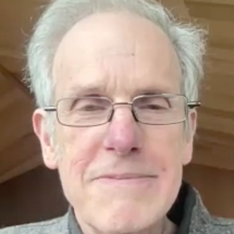 cover art for The dialectic of enlightenment, Technocracy, an academic's journey through the covid years