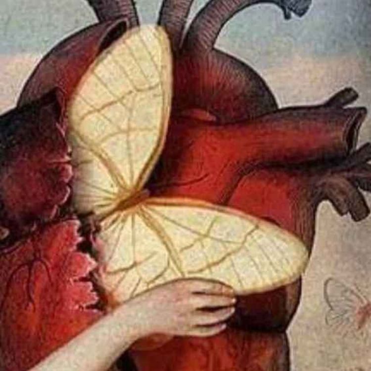 cover art for  Critical Theory, Wokeism and the move to "De-Steiner" Waldorf Education.