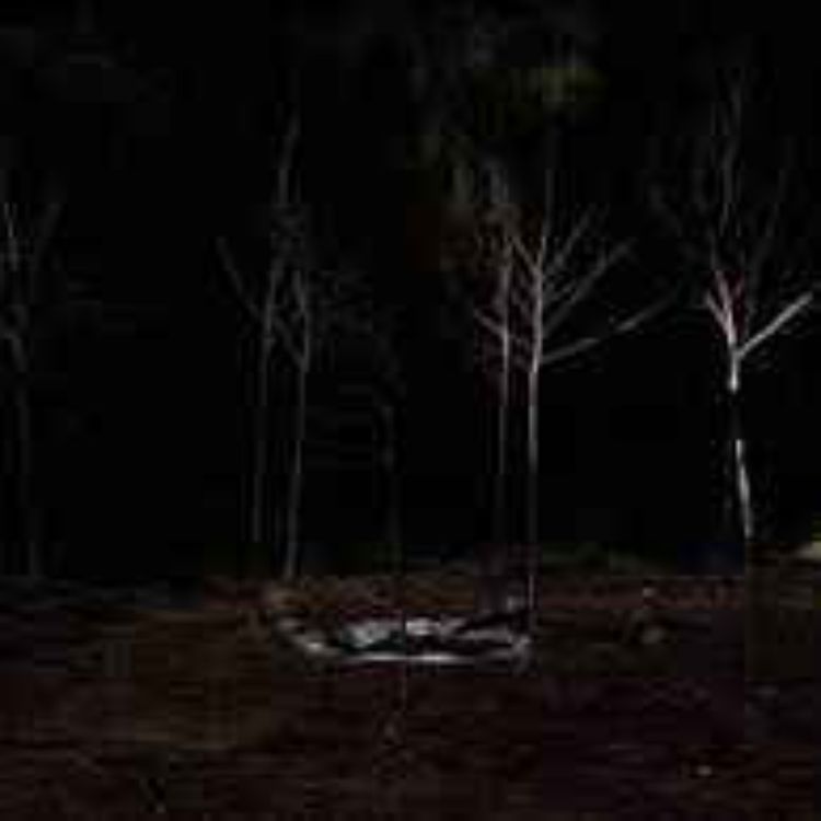 cover art for The Weird Wisconsin Chronicles: Into the Vortex and Other Burlington Mysteries w/ Badgerland Legend's Jeff, Vincent Treewell & Recluse