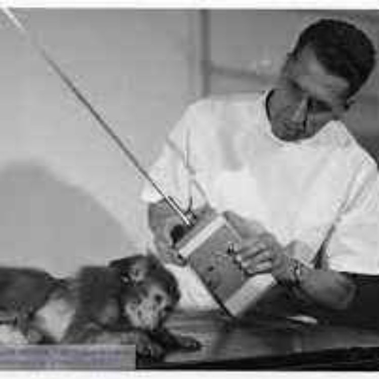 cover art for Neuroscience and the Brave New World Part I w/ Wayne Mathias & Recluse