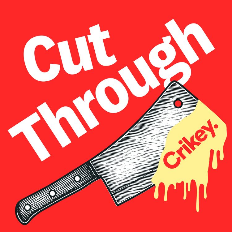 cover art for Stop talking about the Coalition on climate