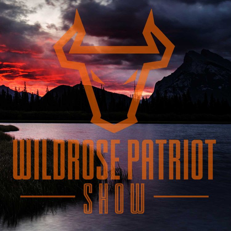 cover art for Guns, Guns, Guns