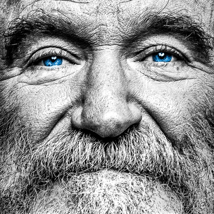 cover art for We See it Too Late - Robin Williams on the Fragile Meaning of Life