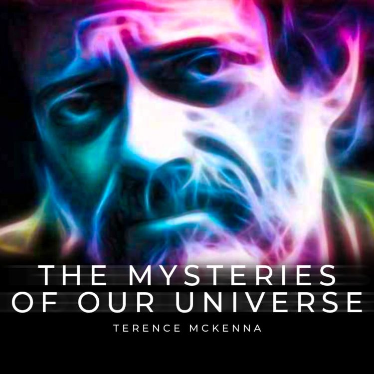cover art for Will People Ever Understand? - Terence McKenna On The Mysteries Of Our Universe