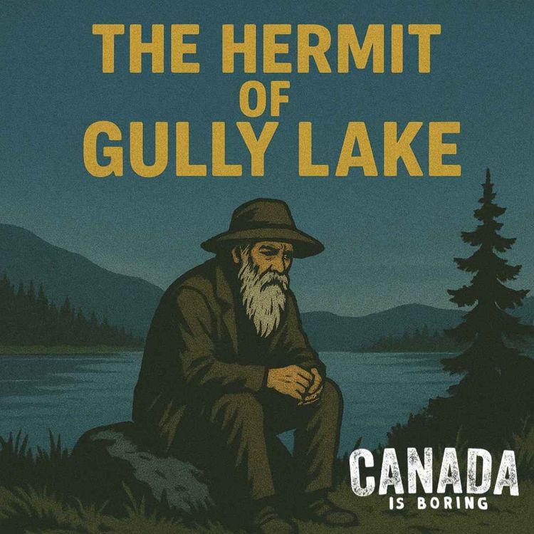 cover art for The Hermit Of Gully Lake