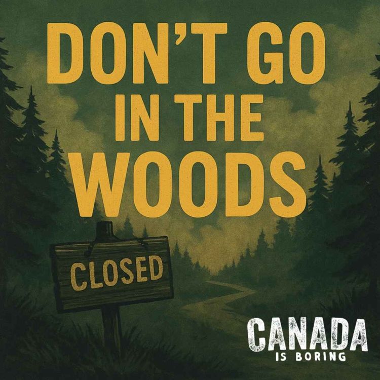 cover art for Don’t Go In The Woods