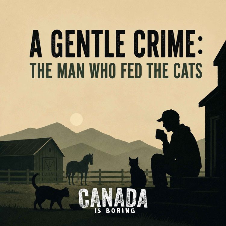 cover art for A Gentle Crime: The Man Who Fed the Cats