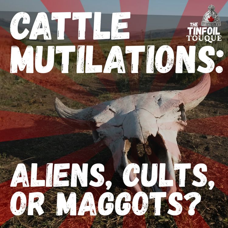 cover art for Cattle Mutilations: Aliens, Cults, or Maggots?