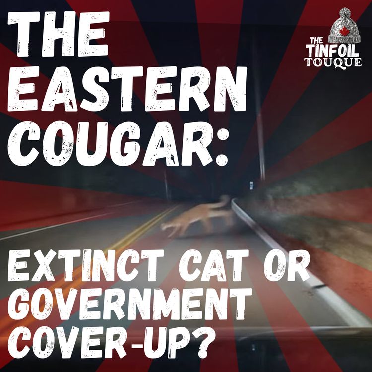 cover art for The Eastern Cougar: Extinct Cat or Government Cover‑Up?