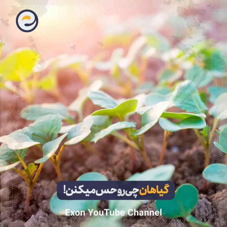 cover art for حس‌های حیرت انگیز گیاهان که هیچکس باور نمیکند!