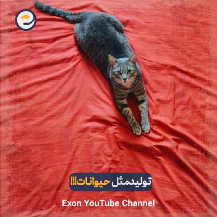 cover art for ۱۰ روش عجیب تولیدمثل در حیوانات که حیرت‌زده‌ت می‌کنه! 😱🐍🐙
