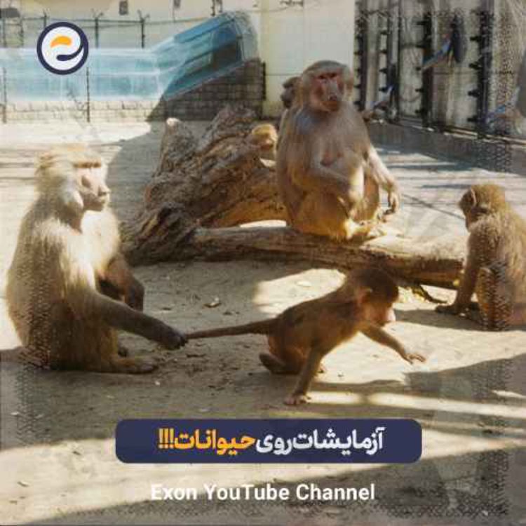 cover art for عجیب‌ترین و وحشتناک‌ترین موارد آزمایش بر روی حیوانات در تاریخ