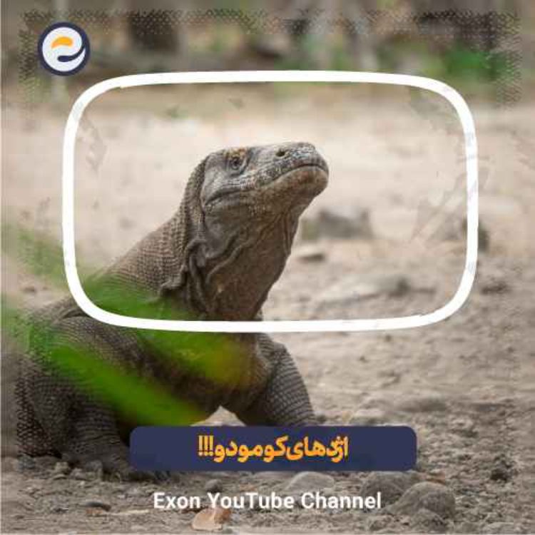 cover art for اژدهای کومودو، بزرگترین مارمولک روی کره زمین