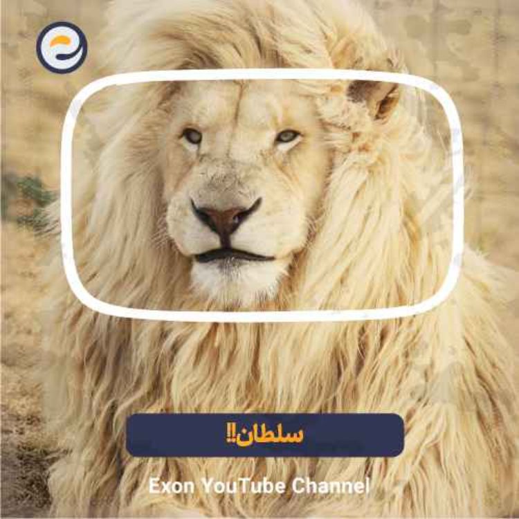 cover art for شیرها خطرناک‌ترین شکارچیان جنگل