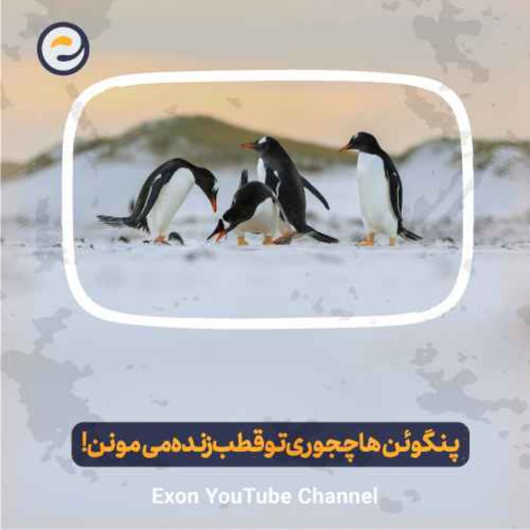 cover art for زندگی در سردترین نقطه زمین