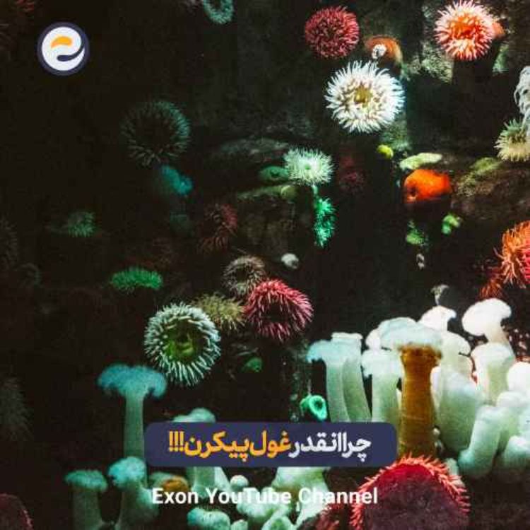 cover art for چرا موجودات اعماق دریا اینقدر غولپیکر میشن؟ | سفر به اعماق اقیانوس