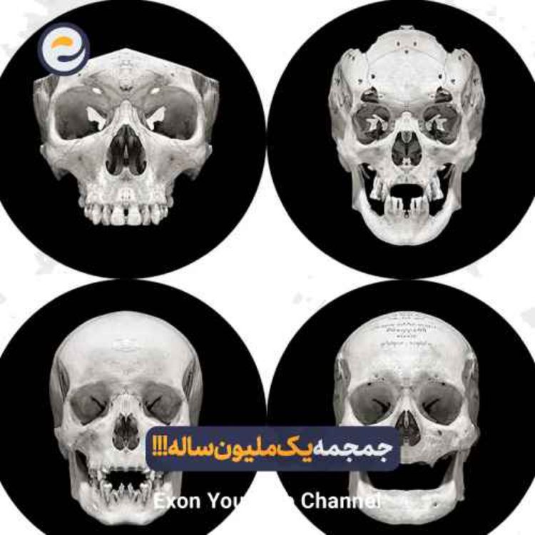 cover art for انسان خردمند؛ سفری که جهان را تسخیر کرد | مهاجرت بزرگ از آفریقا