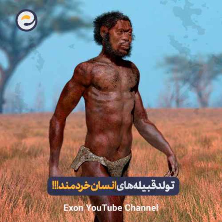 cover art for راز تولد قبیله های انسان خردمند؛ از شکار تا هنر و نابرابری
