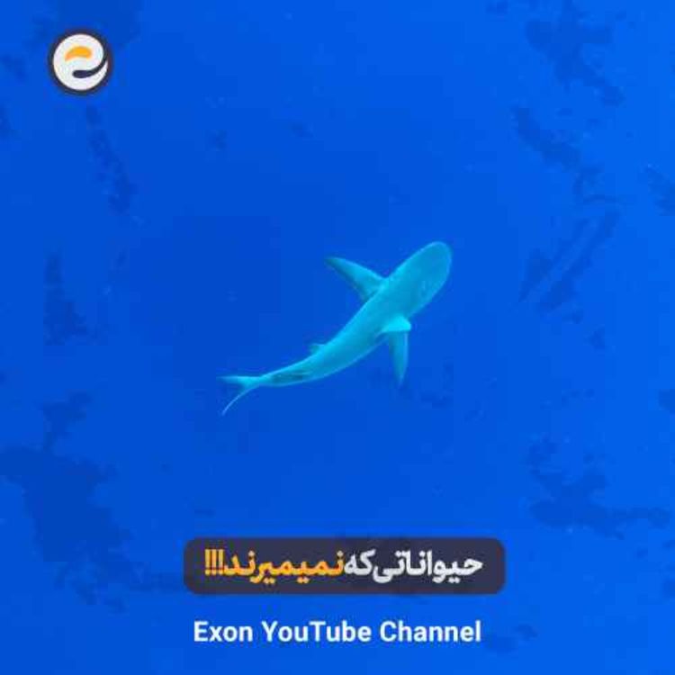 cover art for ۵ حیوانی که قوانین مرگ را زیر پا گذاشتند