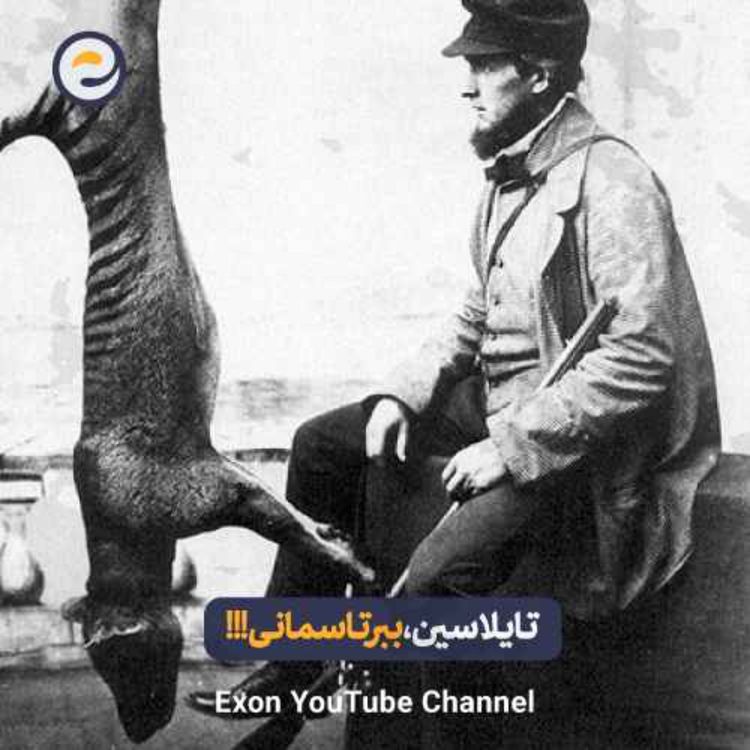 cover art for تایلاسین؛ آخرین شکارچی فراموش‌شده