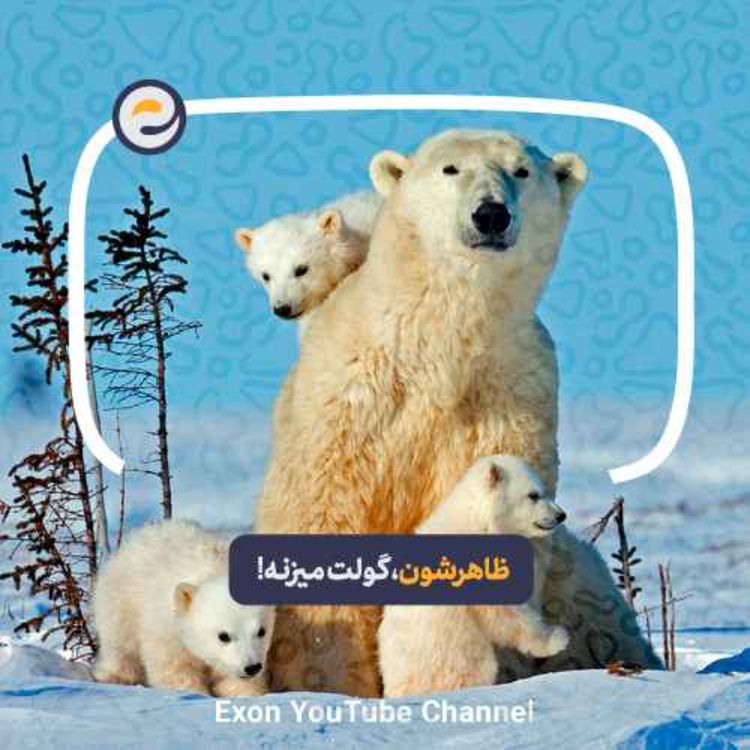 cover art for حیوانات بانمکی که باورت نمیشه چقدر خطرناکاند!
