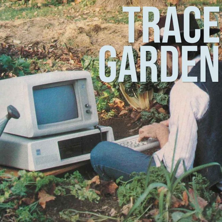 cover art for Meet Hannah Jenkins and Rory Green: writers who merge poetry with technology.