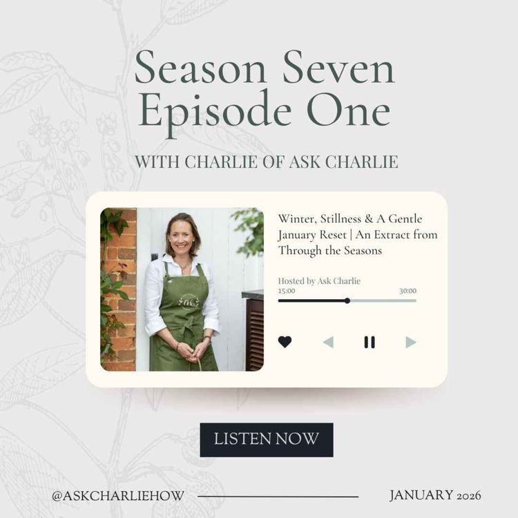 cover art for Winter, Stillness & A Gentle January Reset