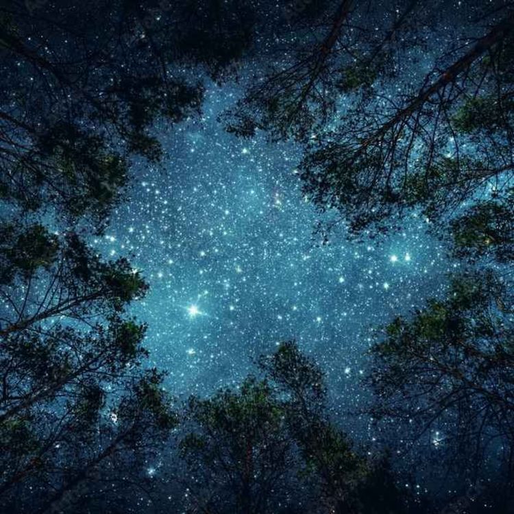 cover art for مدیتیشن هیپنوتیزم خواب برای بی خوابی