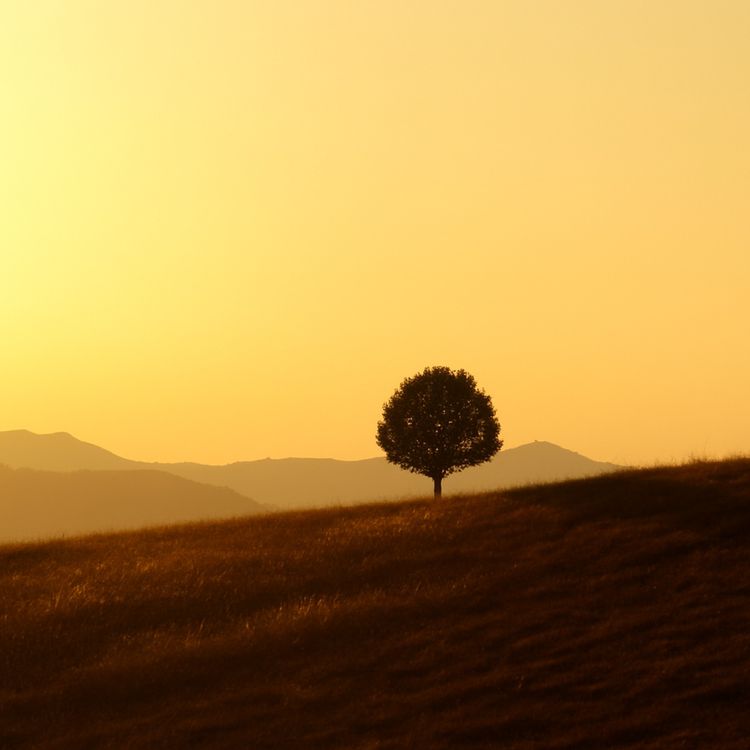 cover art for عبور از موقعیتهای دشوار زندگی | ۱۲ دقیقه مدیتیشن