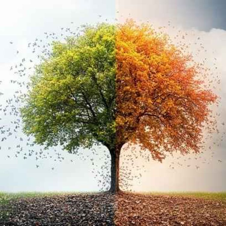 cover art for ترس از تغییر | ۱۲ دقیقه مدیتیشن