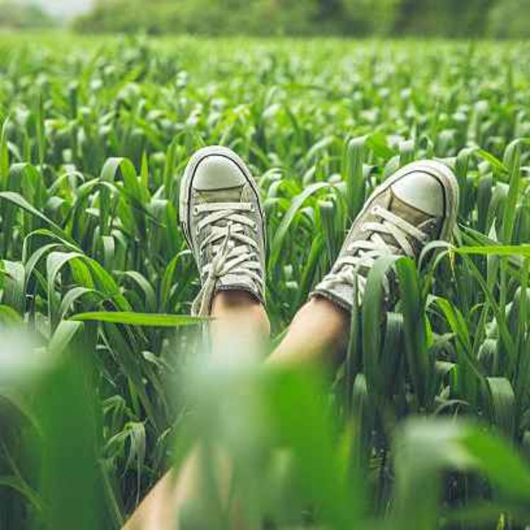 cover art for رها زندگی کن | ۱۲ دقیقه مدیتیشن