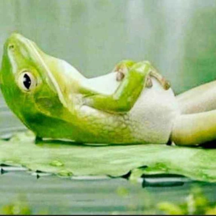 cover art for زندگی رو آسون بگیر | ۲۰ دقیقه مدیتیشن