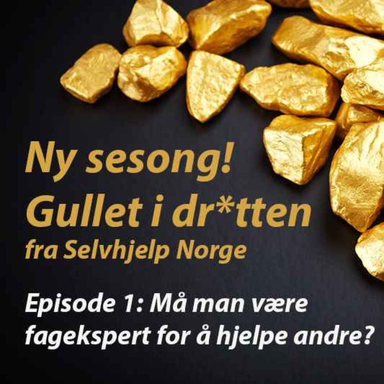 cover art for Må en være fagekspert for å hjelpe andre?