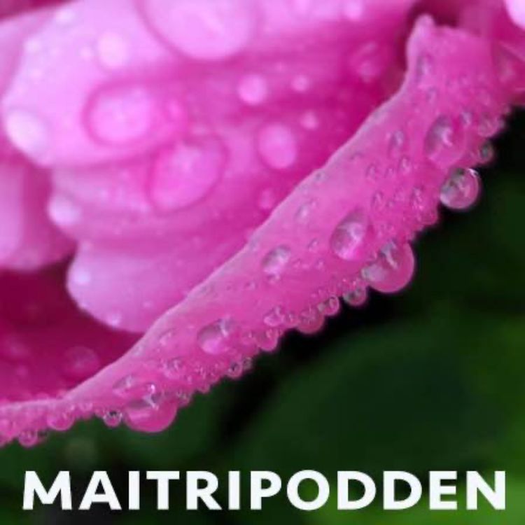 cover art for Haren i månen