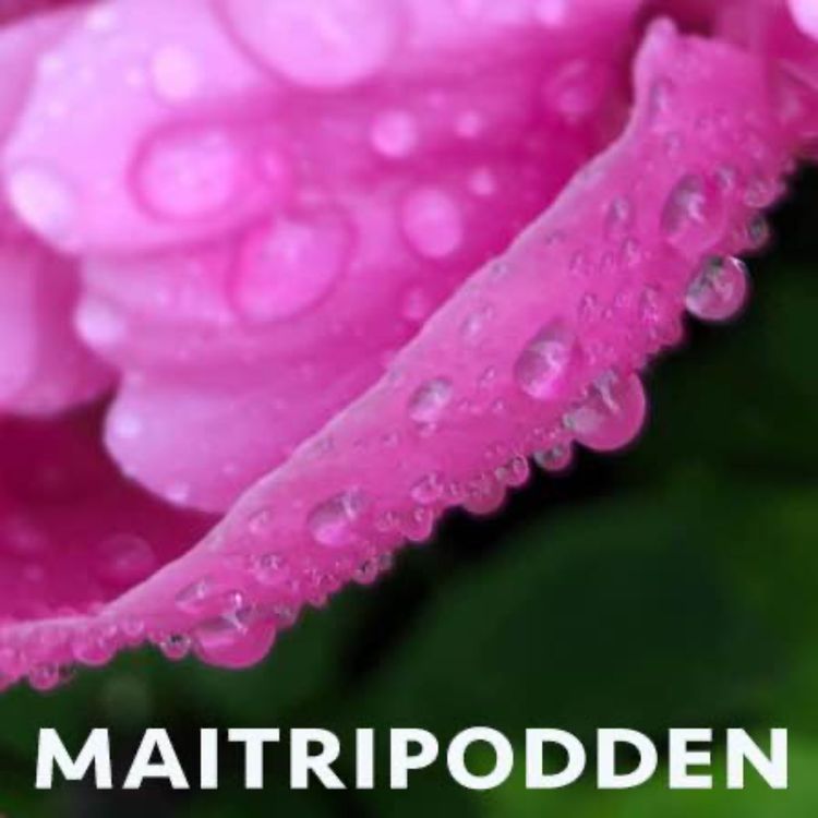 cover art for Svårigheter i meditationen