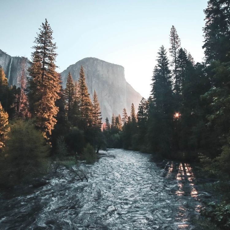 cover art for Spaciousness Jan 5 2022