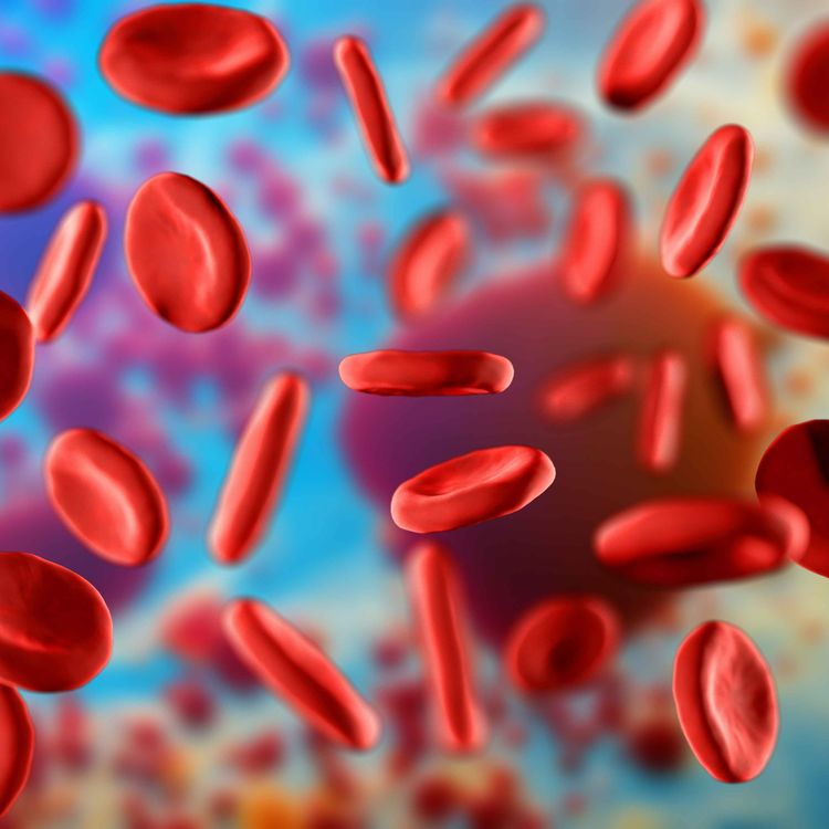 cover art for Idaho Murders - Bryan Kohberger Caught Creeping Around Moscow, Idaho - Returned to the Crime Scene?