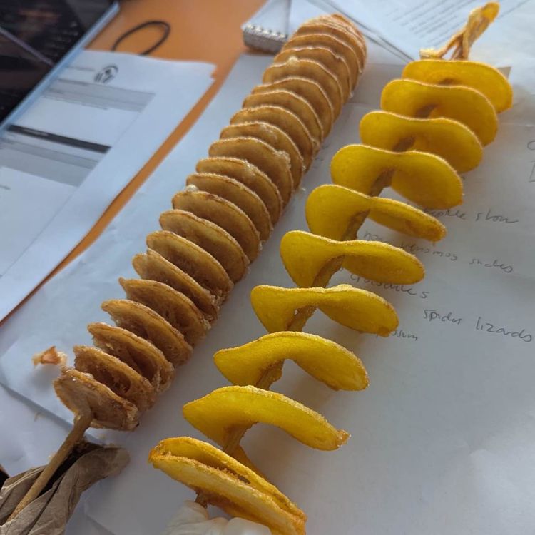 cover art for The Chip On a Stick Review Nobody Asked for But Everyone Needed