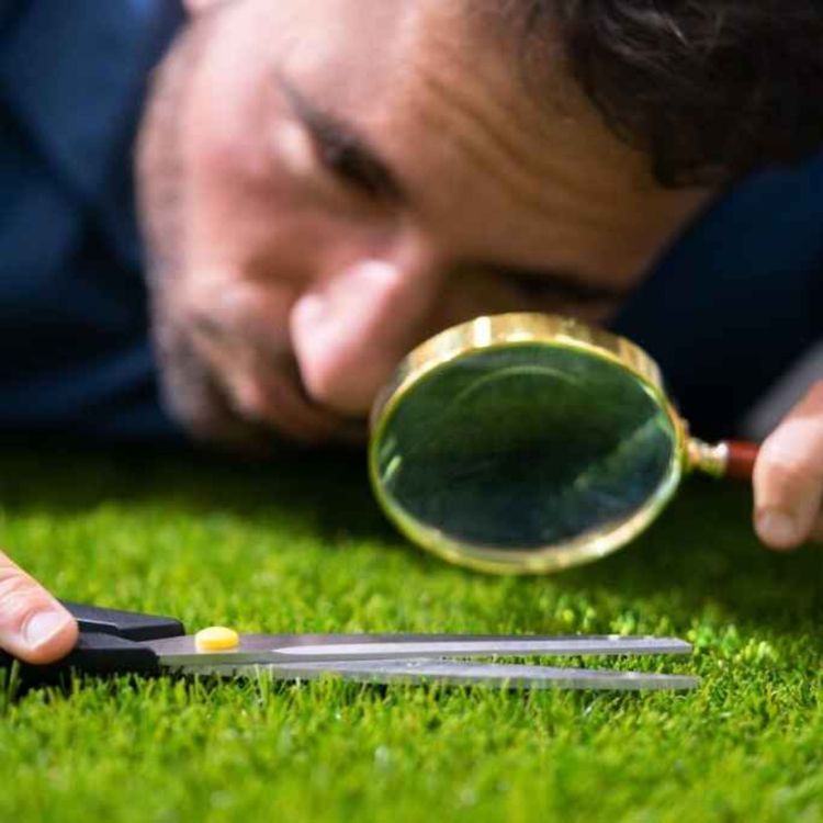 cover art for کمال گرایی