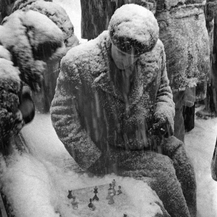 cover art for تابآوری