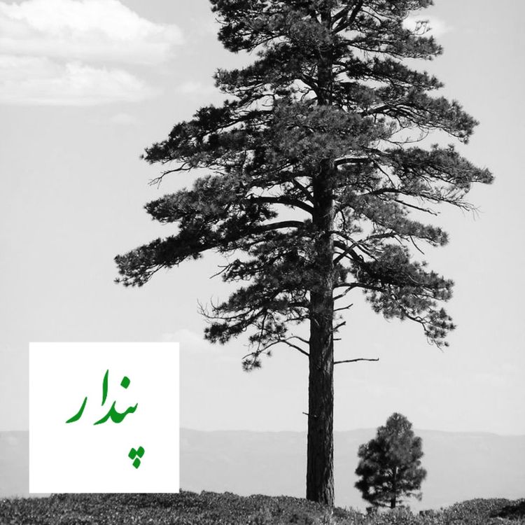 cover art for بلندای باشکوه بلوغ